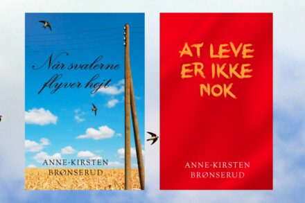 Brønserud sampak