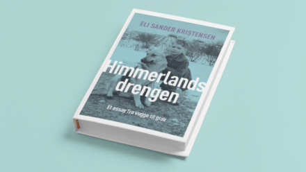 Himmerlandsdrengen